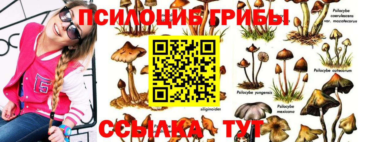 Кодеин Хабаровск